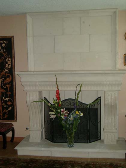 Shappel X02 Fireplace